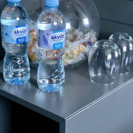Modernus Kambarys Barzoje Ant Nemuno Hotel Kaunas Ngoại thất bức ảnh